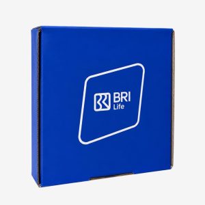 Box Kardus BRI