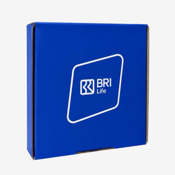 Box Kardus BRI