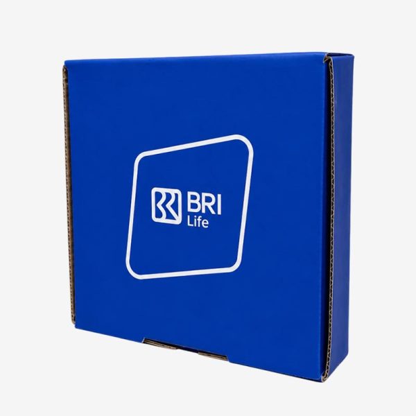Box Kardus BRI
